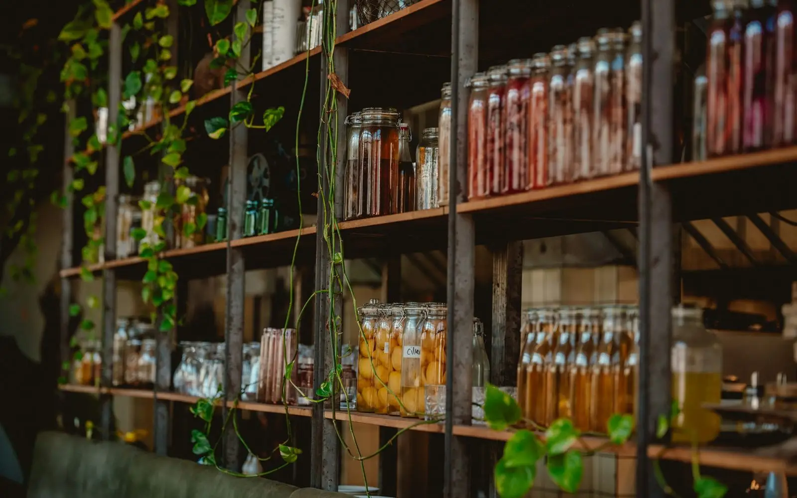 Glass jars of preserves and syrups on steel shelving, with trailing plants